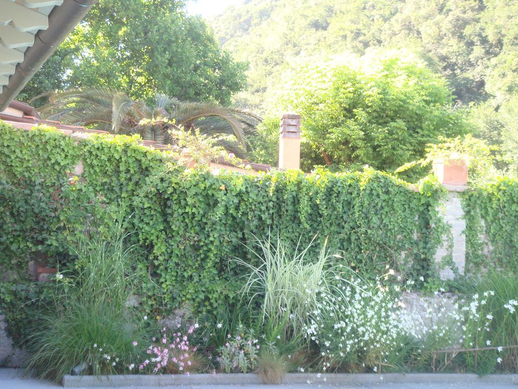 B&B Pieve Degli Artisti Pietrasanta Dış mekan fotoğraf